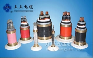 2014年中國特種電纜行業十大品牌競爭力深度解析